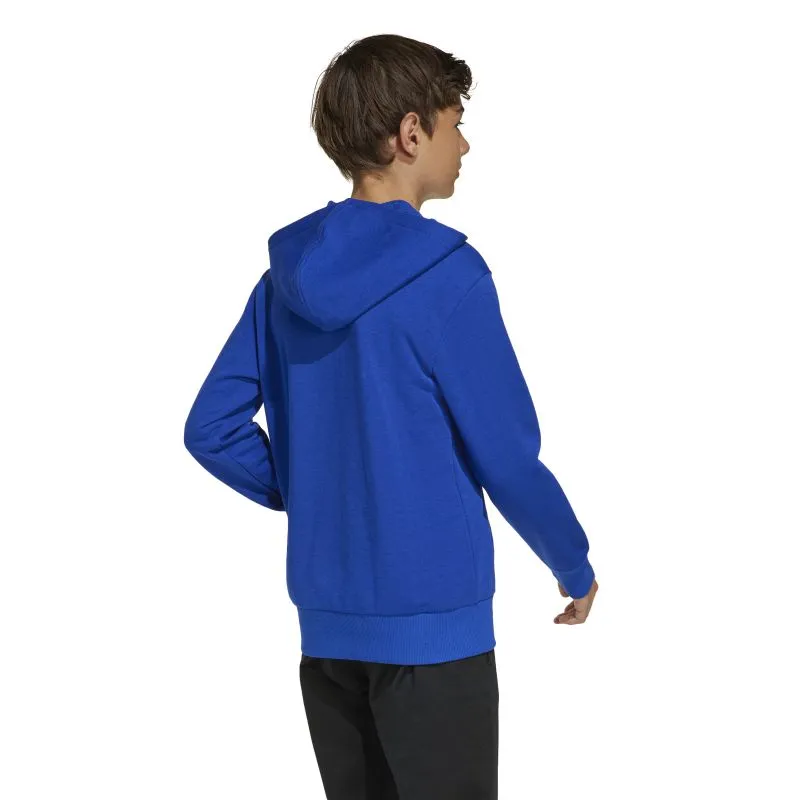 Adidas Boys Essentials Big Logo Hoodie