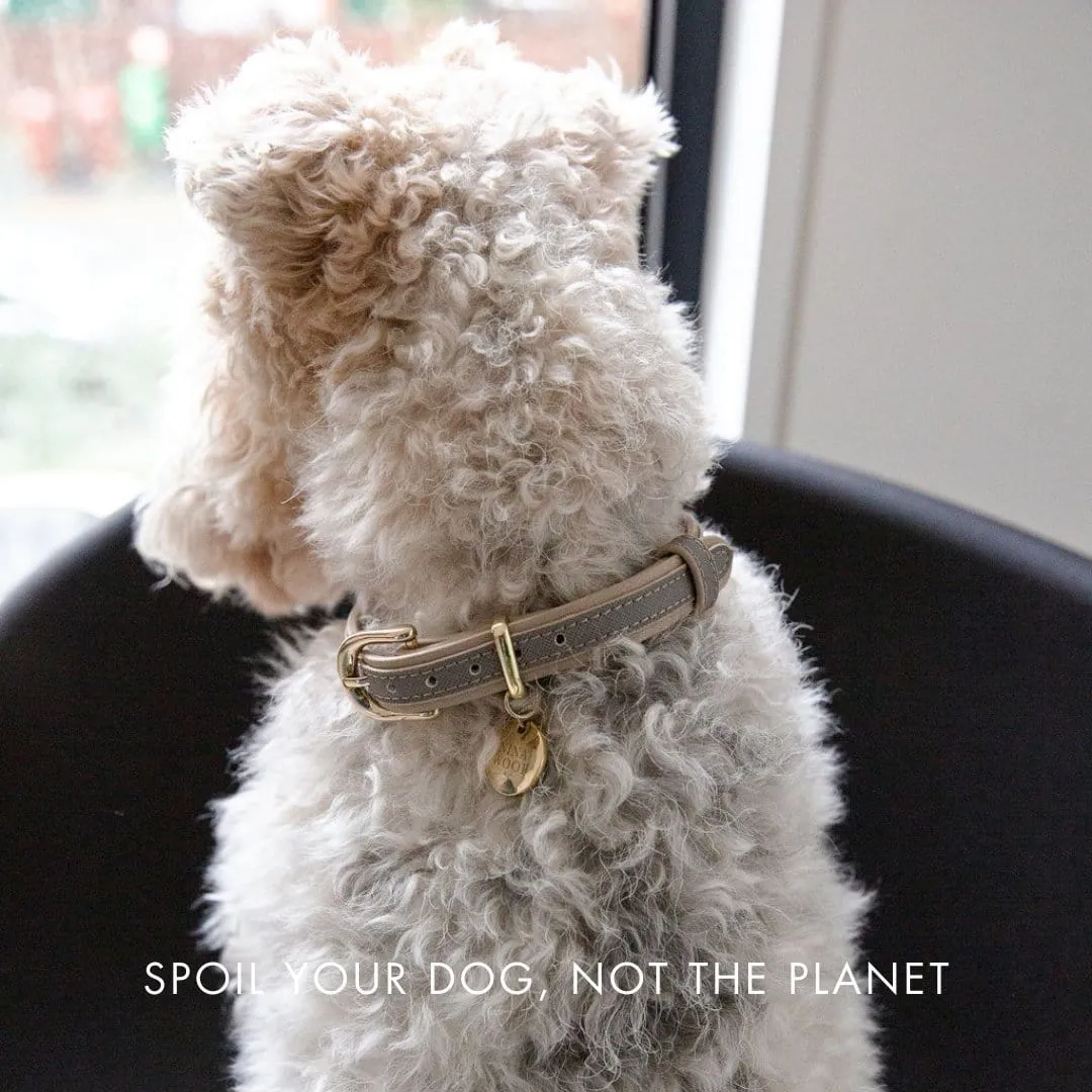 London Vegan Leather Dog Collar | Multiple Colours