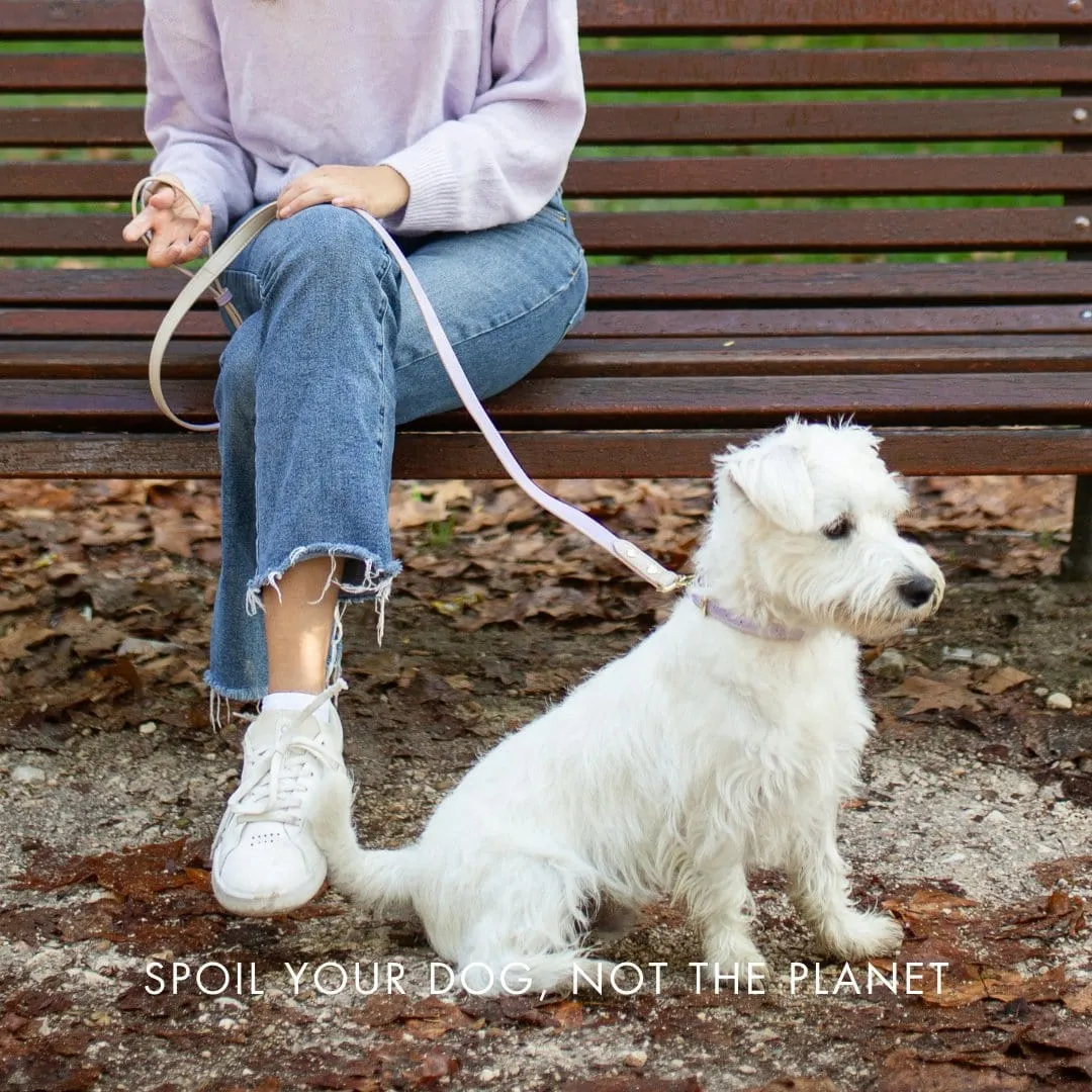 London Vegan Leather Dog Collar | Multiple Colours