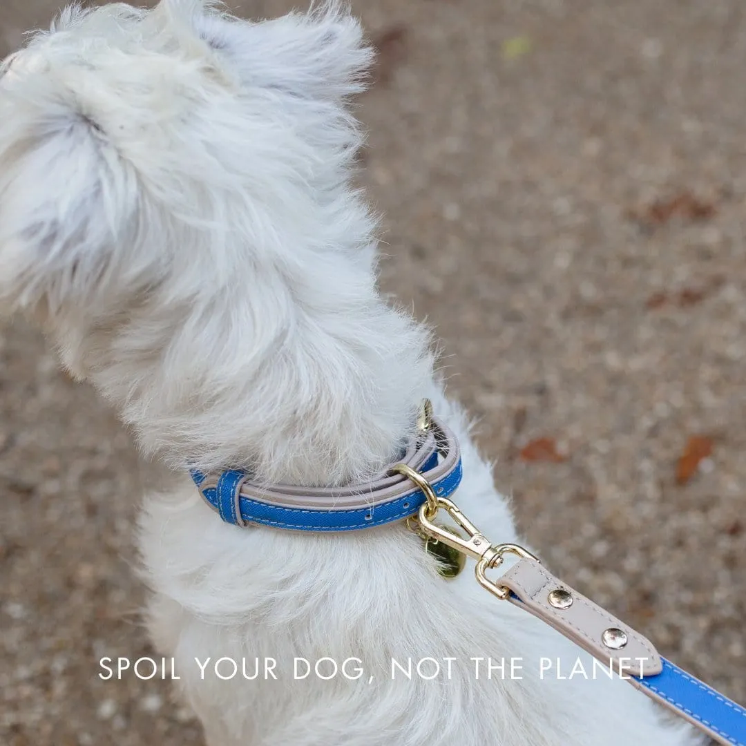 London Vegan Leather Dog Collar | Multiple Colours