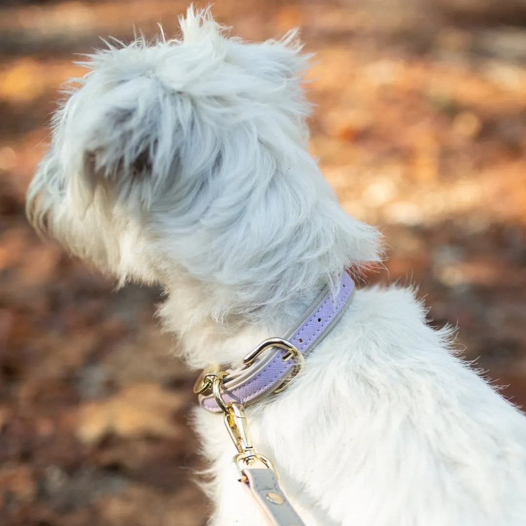 London Vegan Leather Dog Collar | Multiple Colours