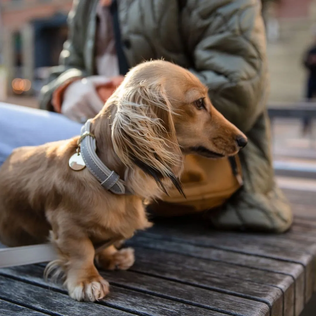 London Vegan Leather Dog Collar | Multiple Colours