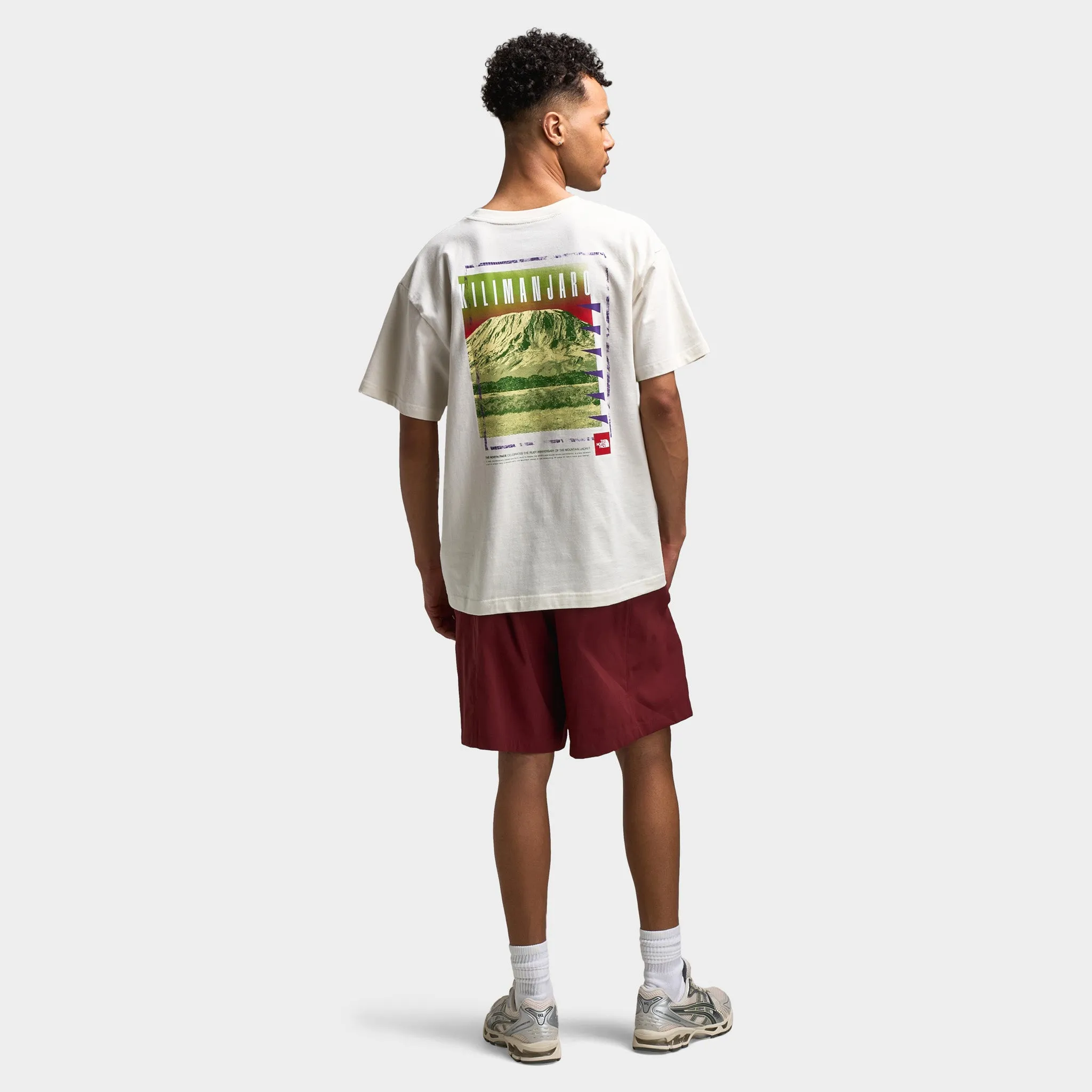 The North Face Red Box Kilimanjaro Heavyweight T-Shirt / White Dune